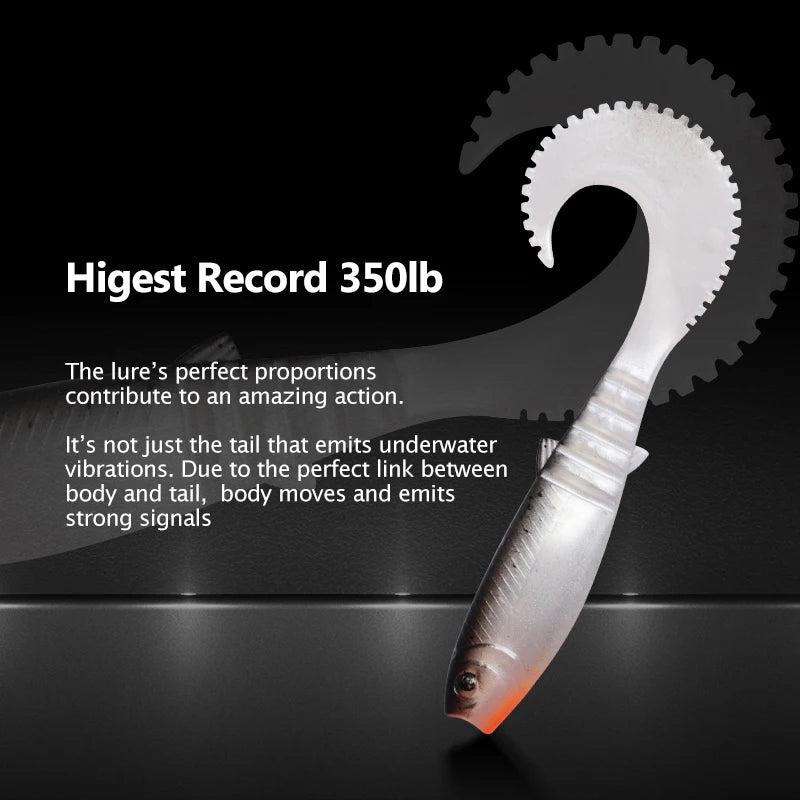 MEREDITH Multicolored Grubs