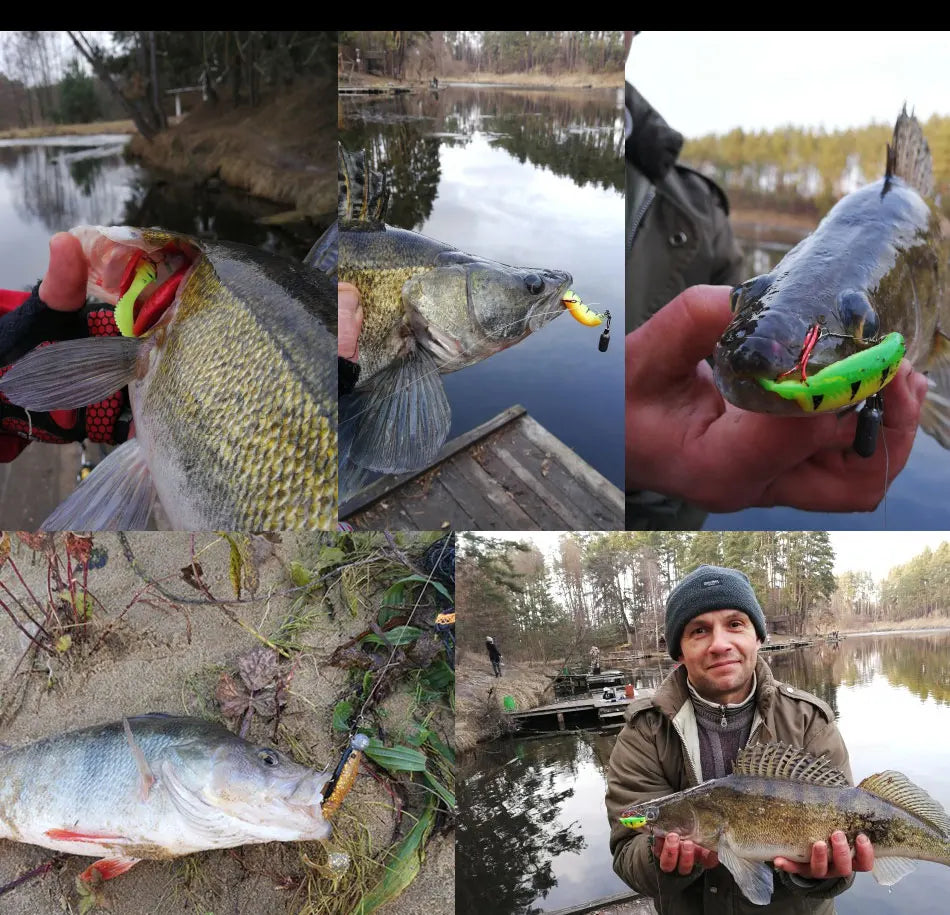 MEREDITH Multicolored Grubs