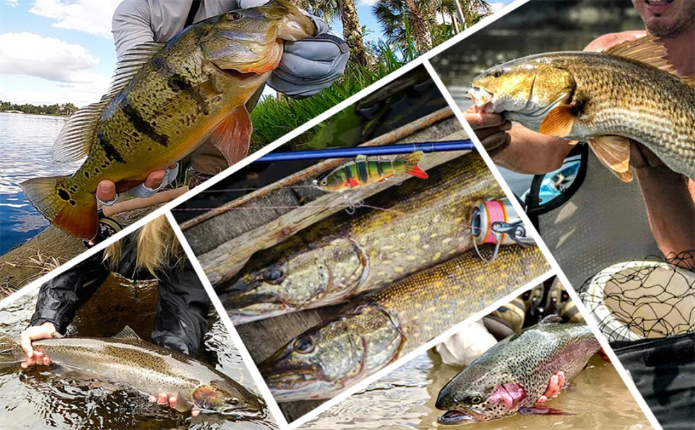 Thorns Line MultiColored Braided Fishing Line