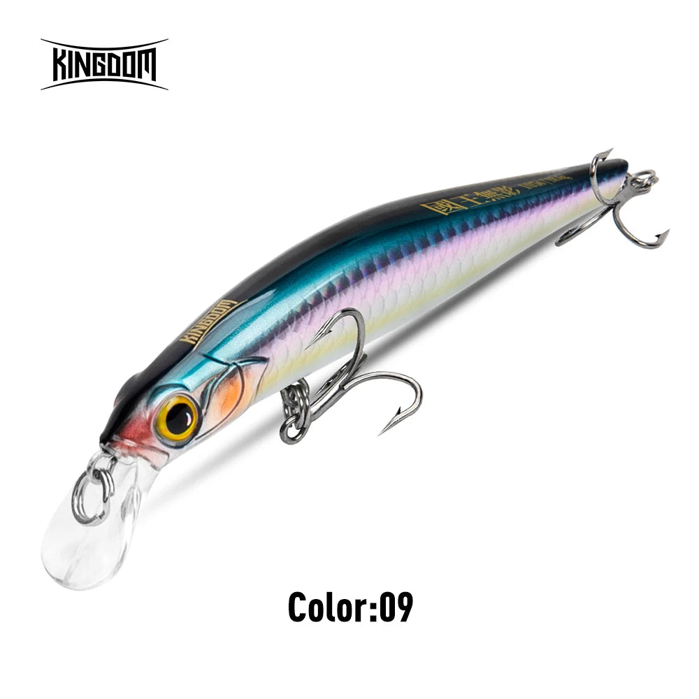 KINGDOM Sinking Minnow Crankbait