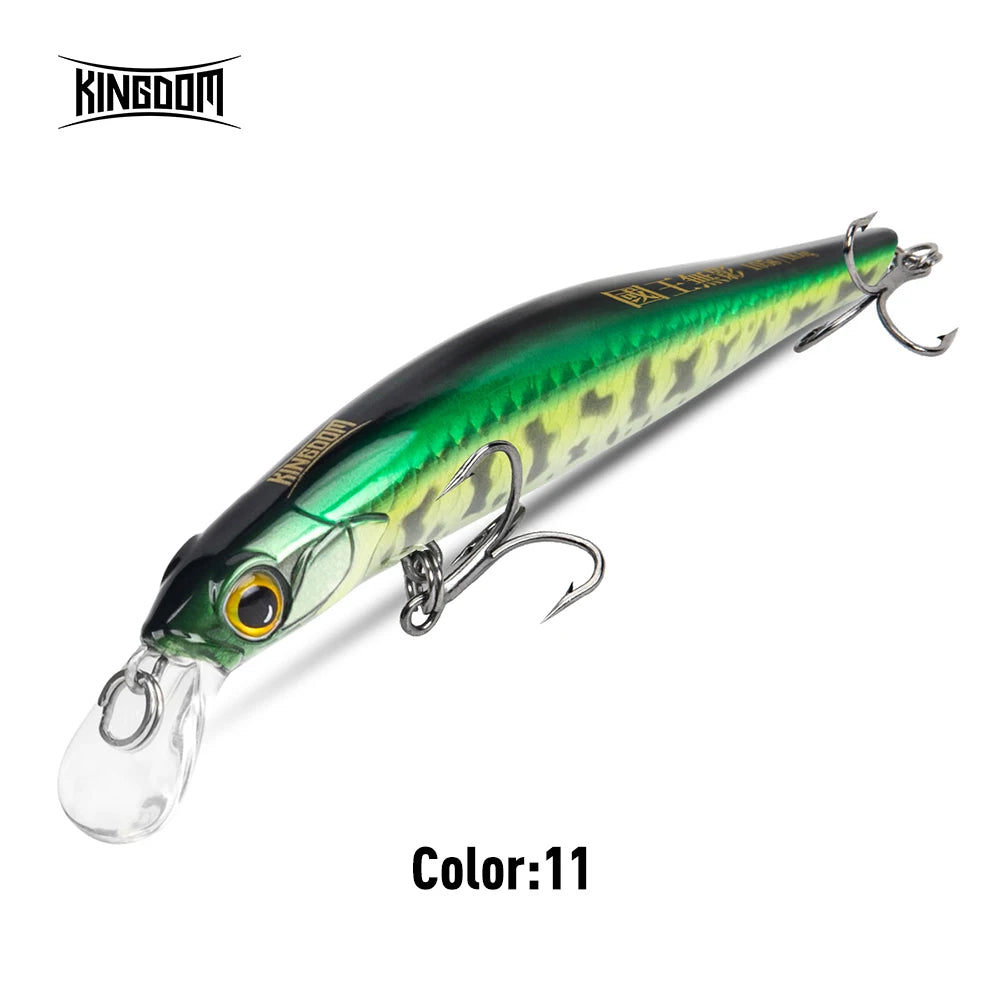 KINGDOM Sinking Minnow Crankbait