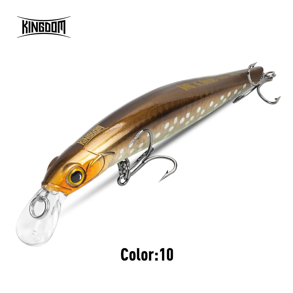 KINGDOM Sinking Minnow Crankbait