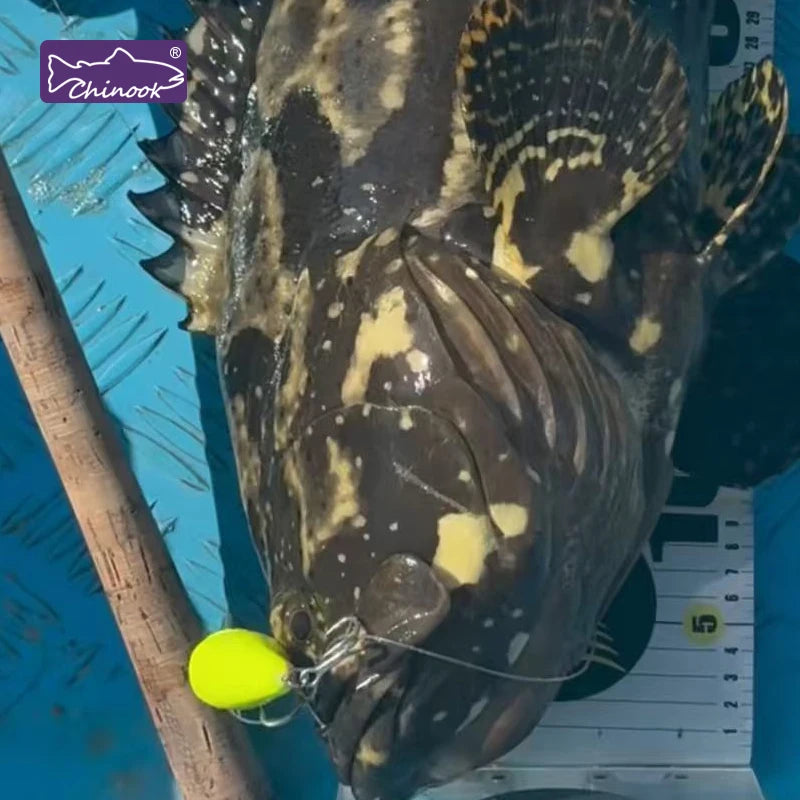 Chinook Shallow Crankbait