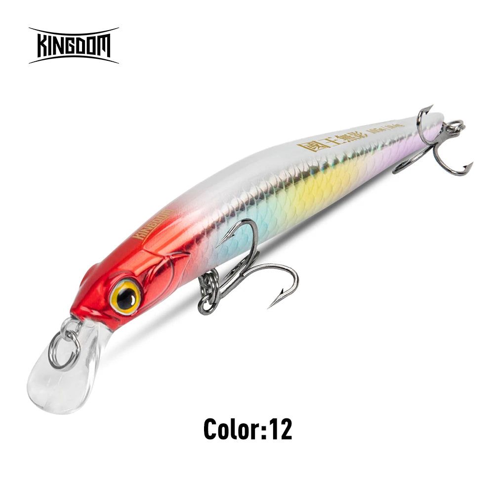 KINGDOM Sinking Minnow Crankbait