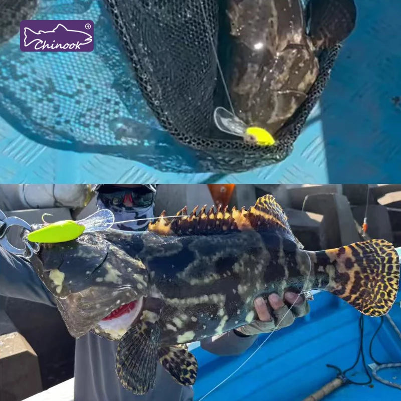 Chinook Shallow Crankbait