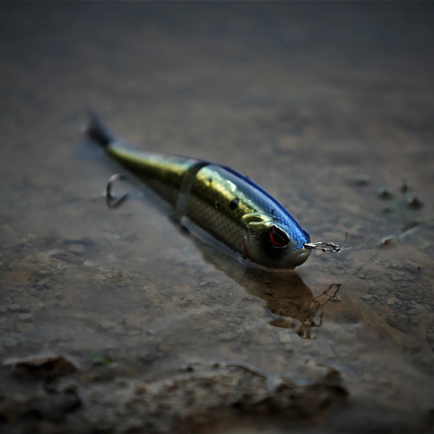BASSDASH Hard Sinking Swimbait
