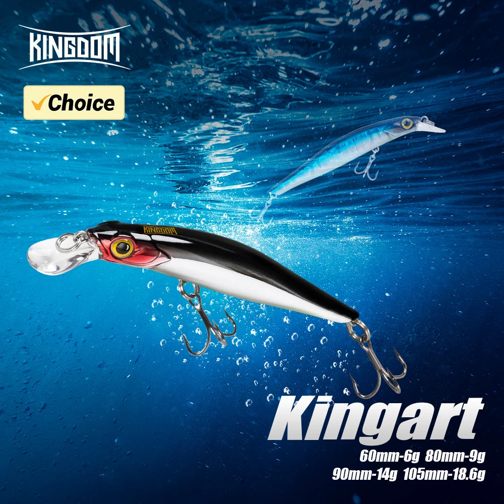 KINGDOM Sinking Minnow Crankbait