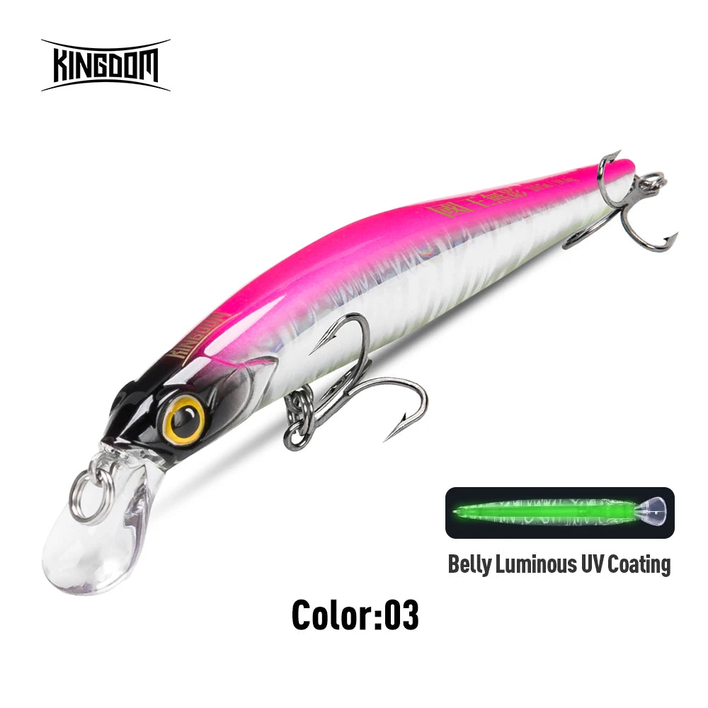 KINGDOM Sinking Minnow Crankbait