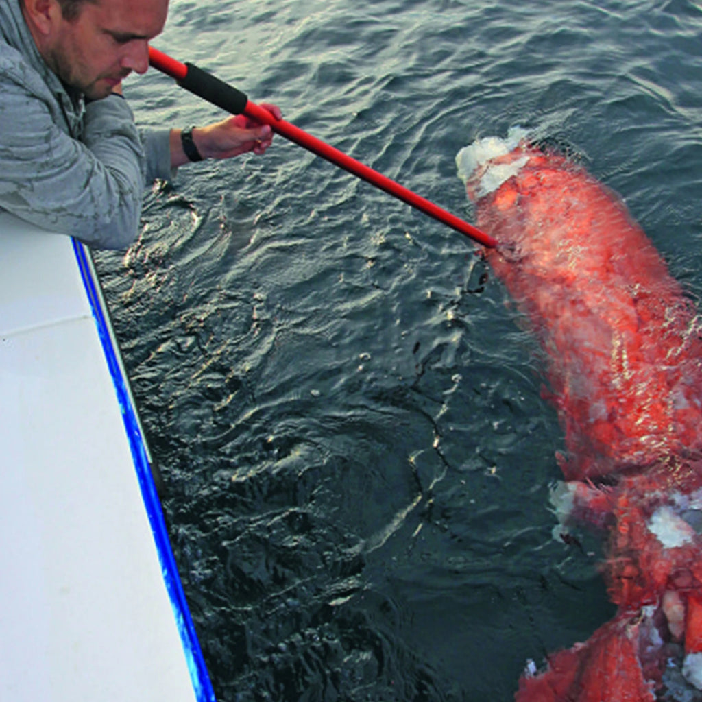 SANLIKE Stainless Steel Fishing Anchor