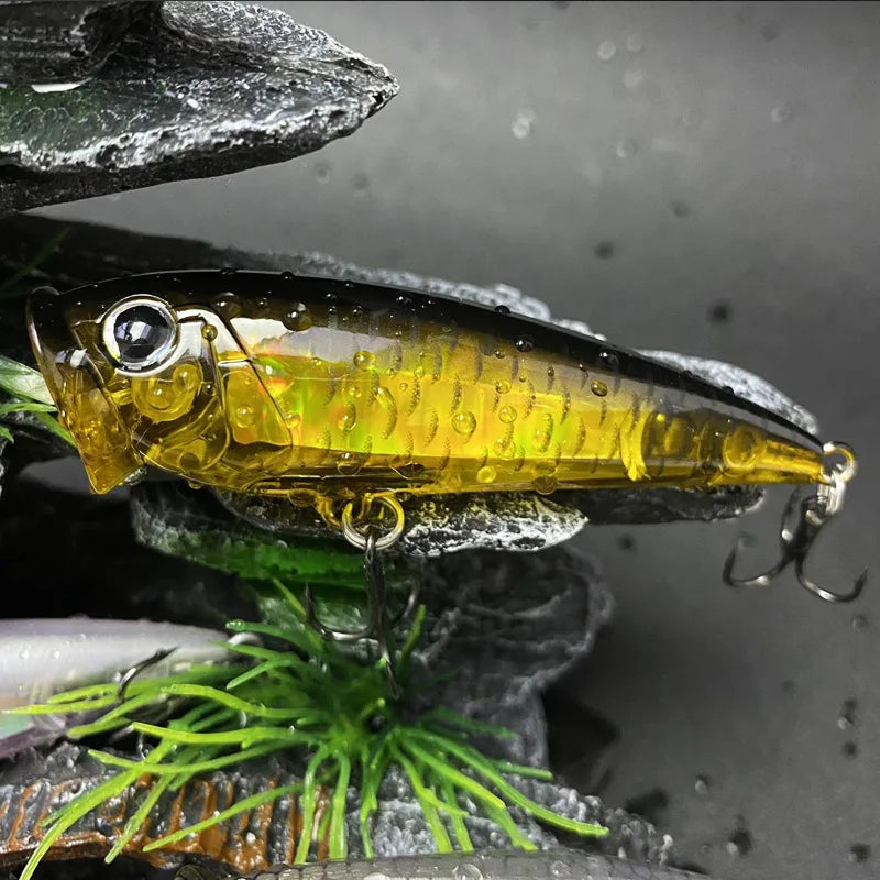 EVLUREEV Popper TopWater 7cm